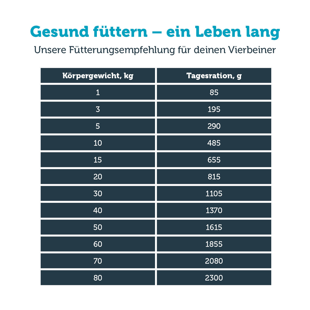 mera vital mobility Hund Nassfutter Fütterungsempfehlung
