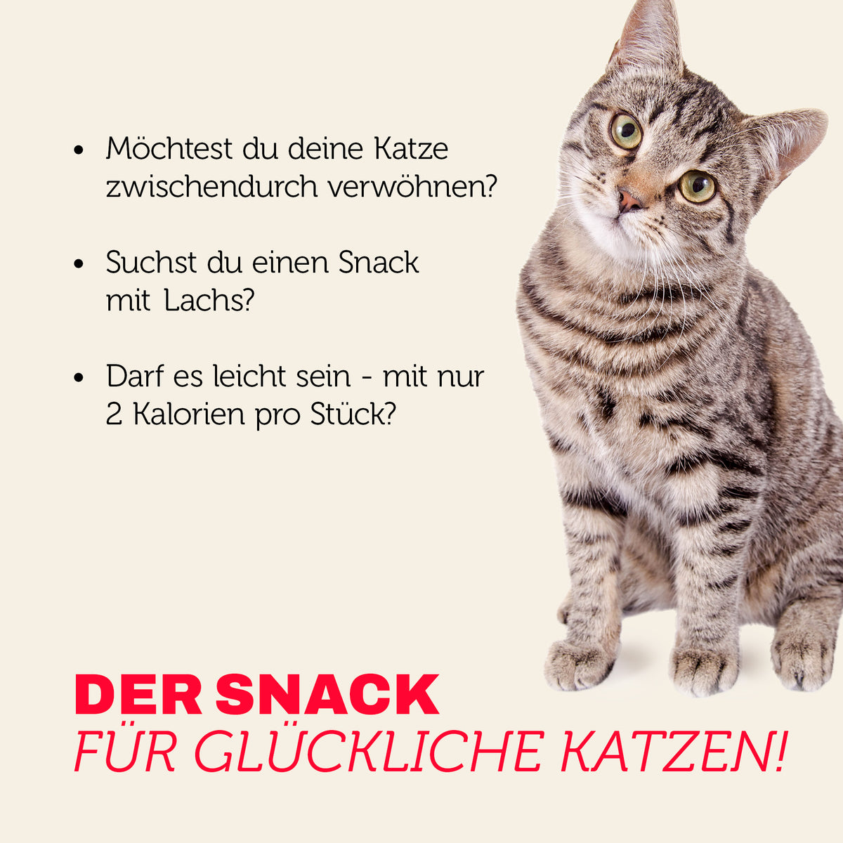 Crunch & Soft Lachs