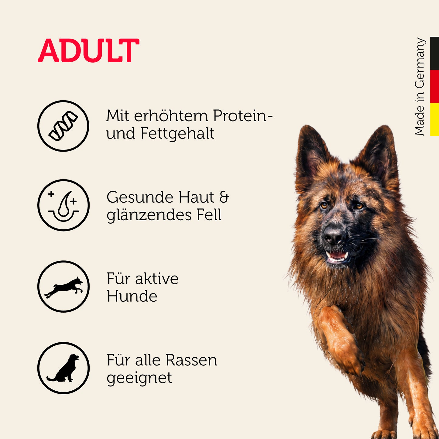 active Trockenfutter