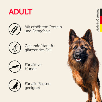 active Trockenfutter