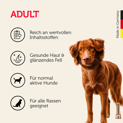 Trockenfutter mit Geflügel