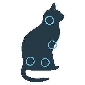 mera vital Katze Icon - Krankheitsbereiche der Katze