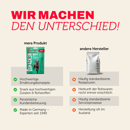 Snacker Insekt