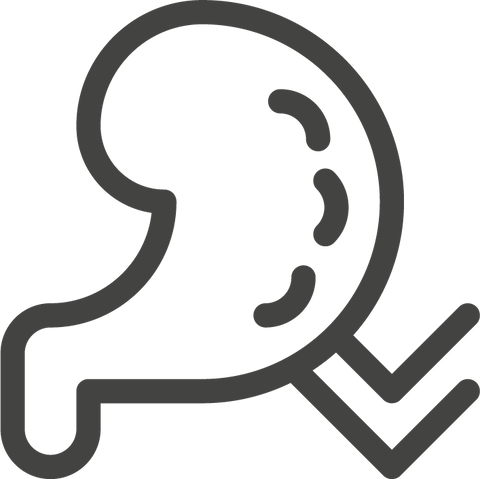 mera vital für Hunde Icon - Entlastung der Nieren